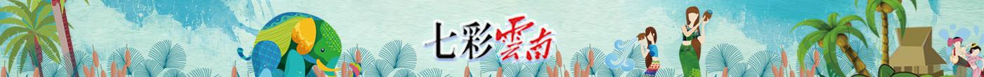 首页通栏-3